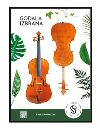 Plakat violine, model Strad