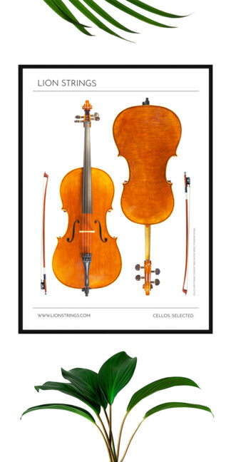 Plakat violončela, model Strad