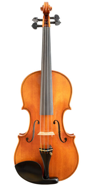 Violina Select Strad Provigny